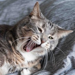 

    eiyrnas

's profile picture