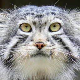 

    aderyn

's profile picture