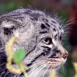 

    autumn

's profile picture