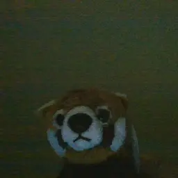 

    kije En Ken

's profile picture