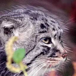 

    ^

's profile picture